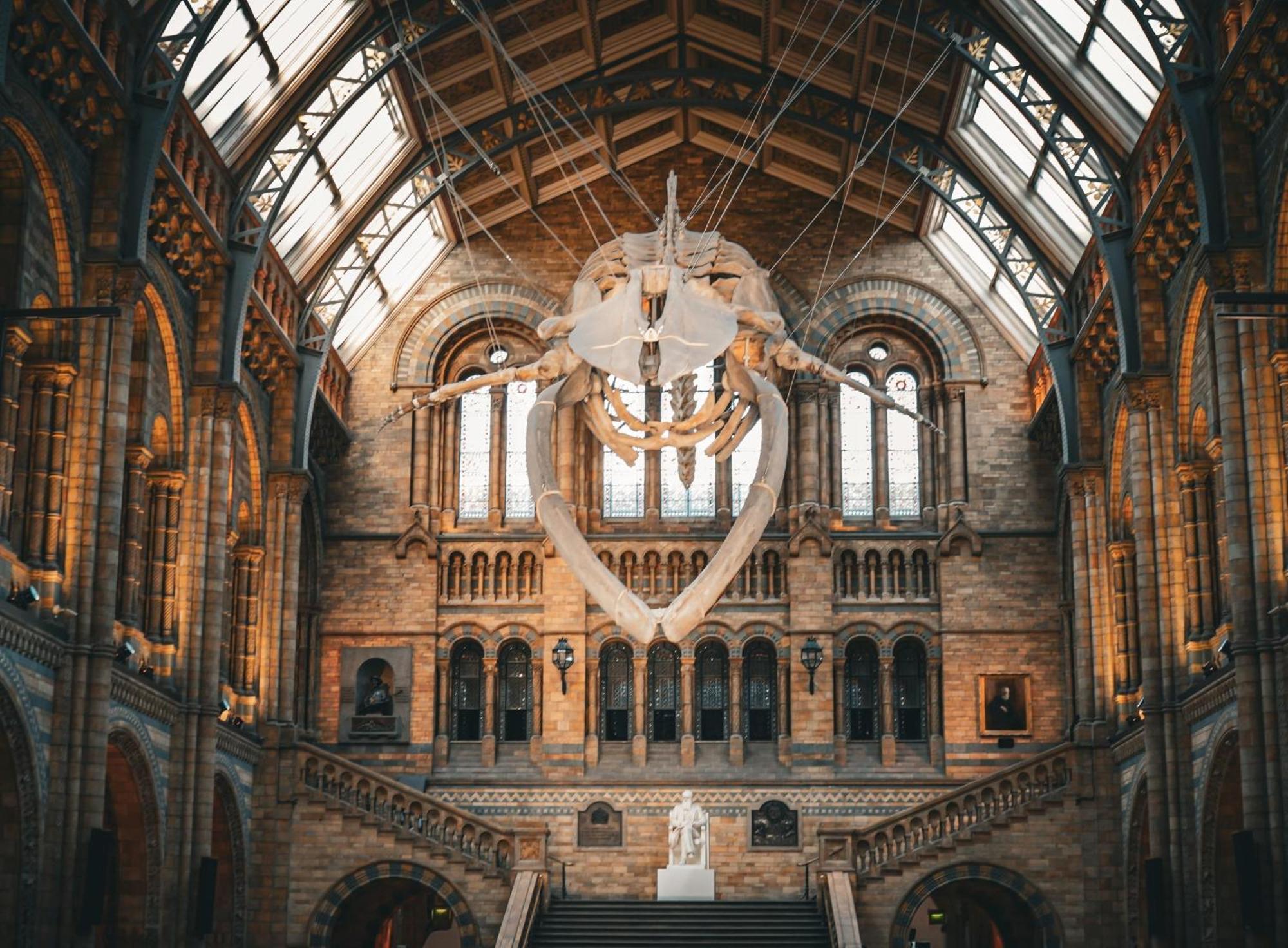 Gasthuis Anwar House Londen